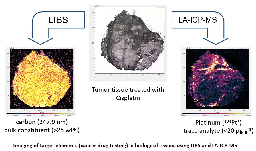 biological tissue analysis Applied Spectra